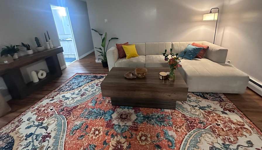 Niloufar's room