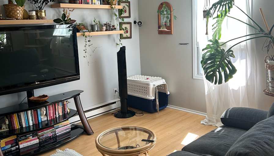 Brit Campbell's room