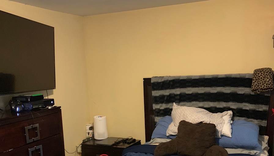 Princess's room