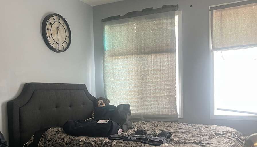rahul mehra's room