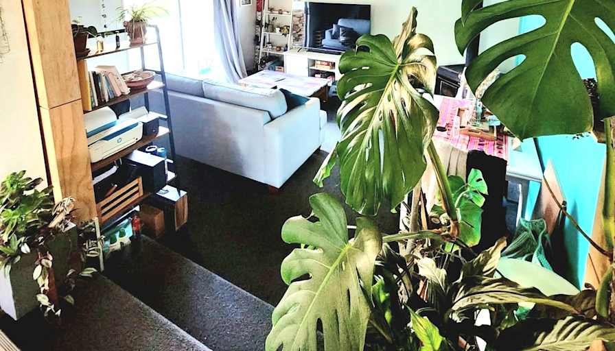 Cecilia's room