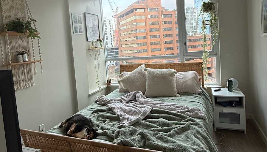 Madison's room