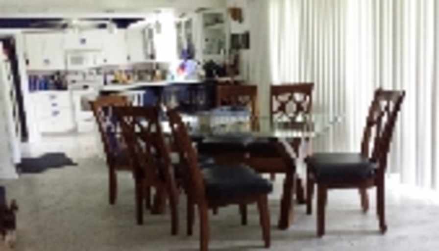 Donna M Cohn's room