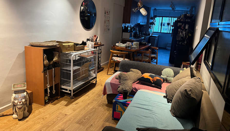 Ellie's room