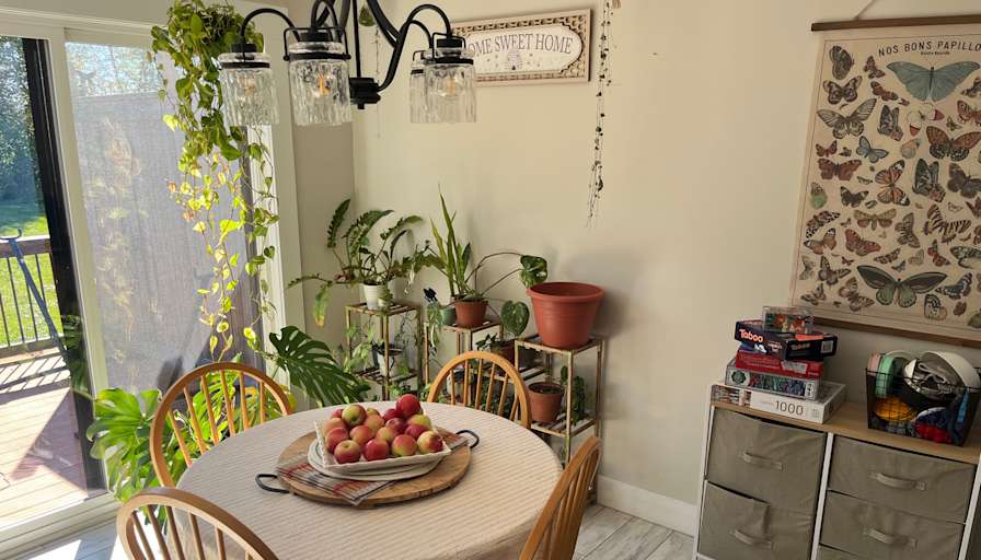 Ainsley Stapleton's room