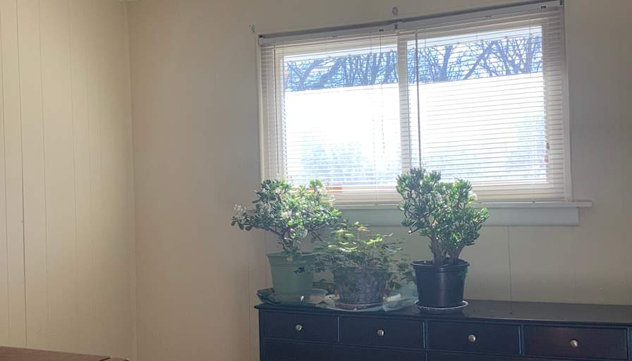 JEANNE's room