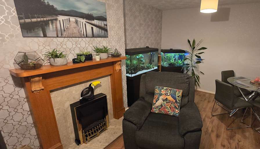 Mel's room
