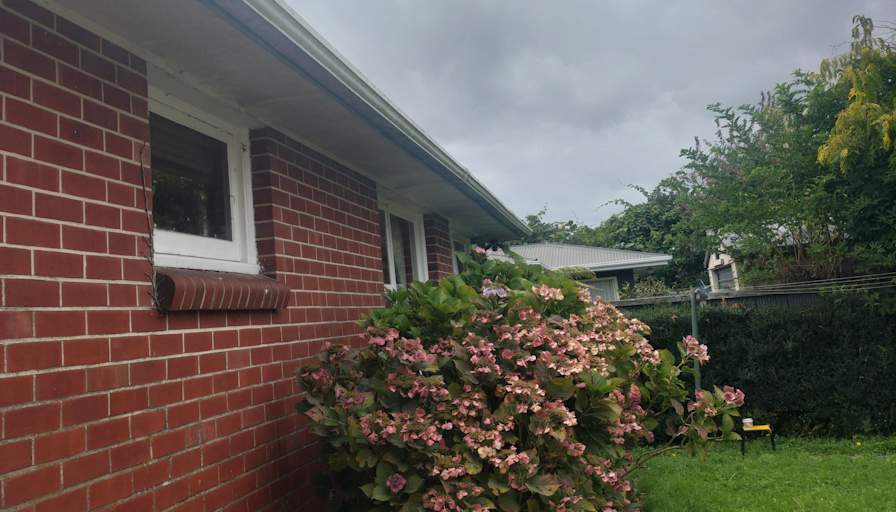 Furnished room in a house · Sydenham, Canterbury 8023-1