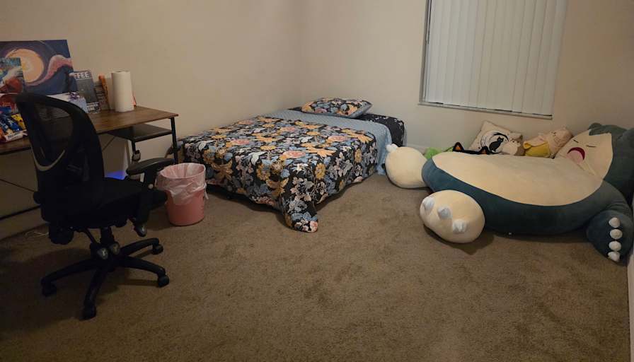 Cat's room