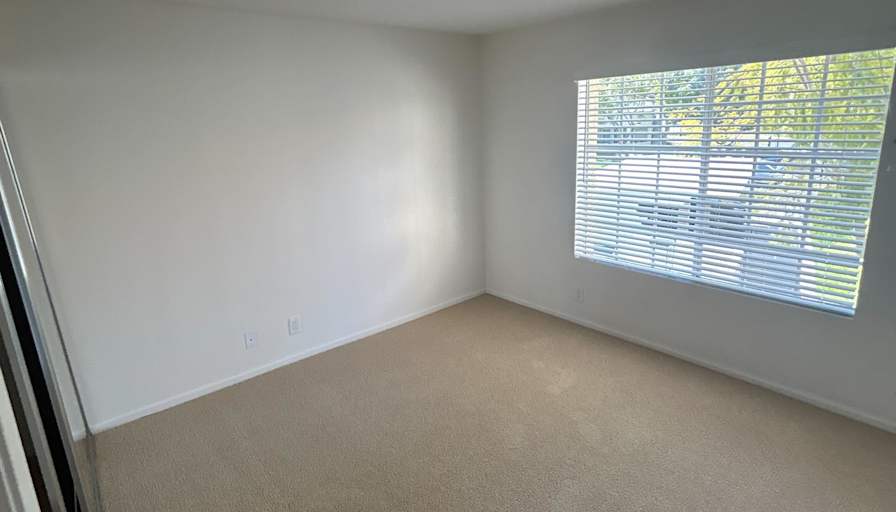 Noah's room