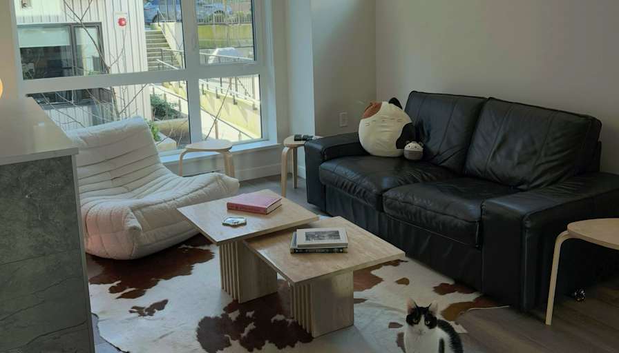 Alexandria's room