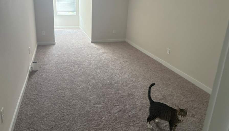 Daniel's room
