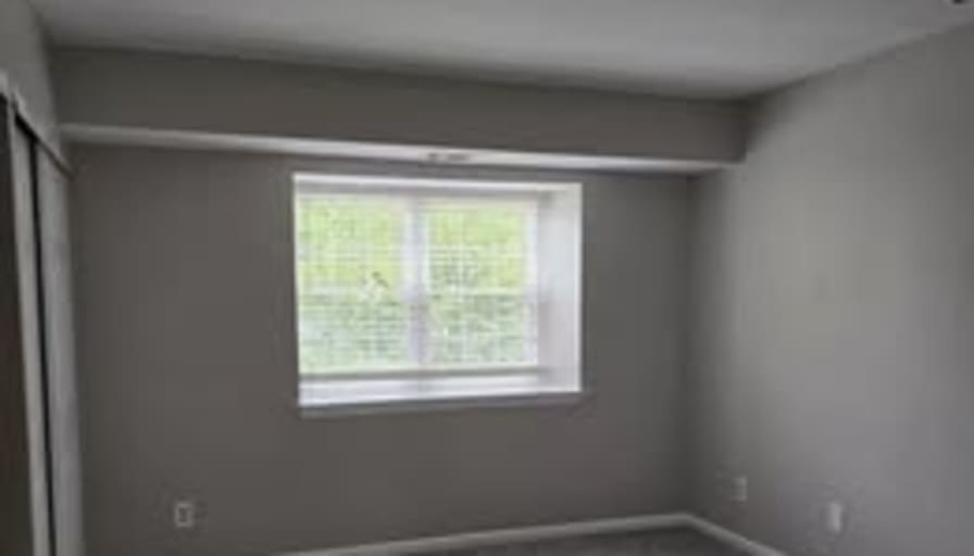 Waris's room