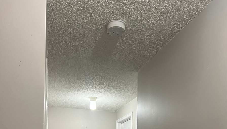 Nelly's room
