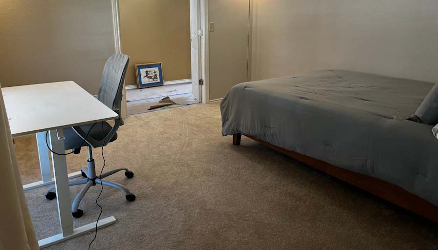 Cat's room