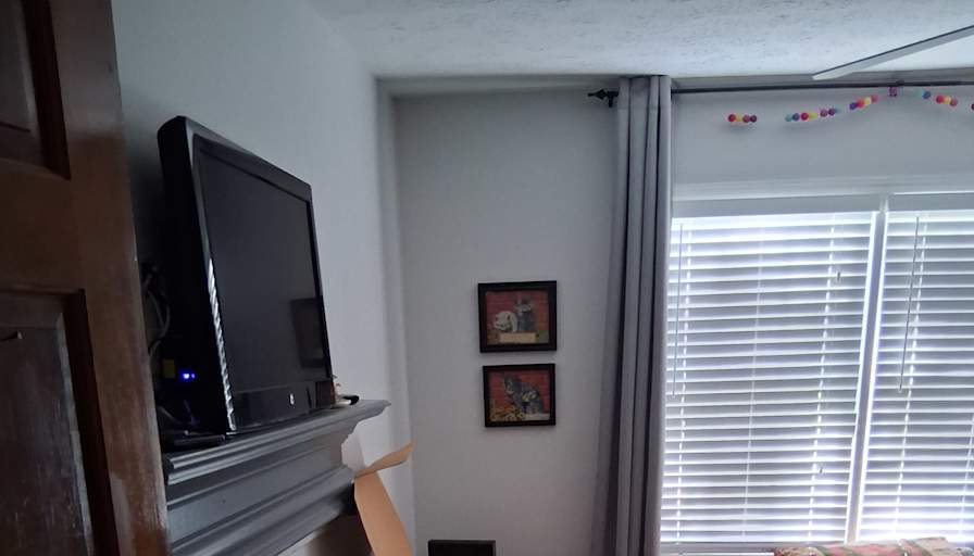 Jerry's room