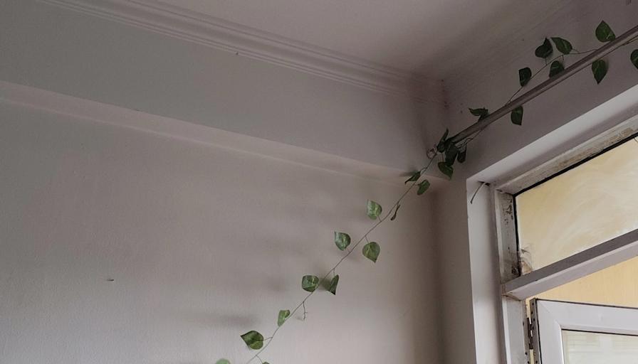 Vidushi's room