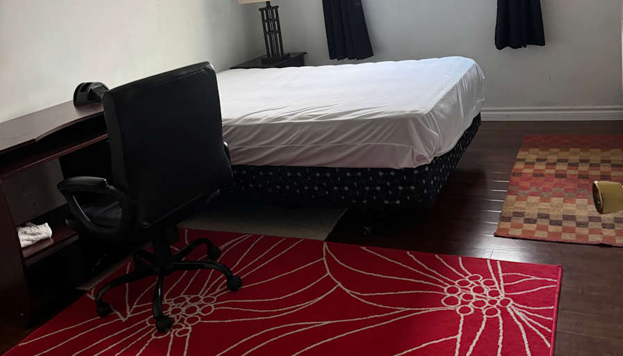 Saru's room