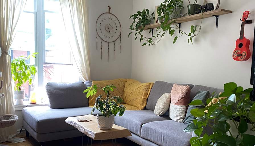 Shaye Forsberg's room