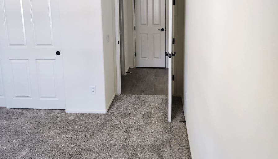 Robert's room