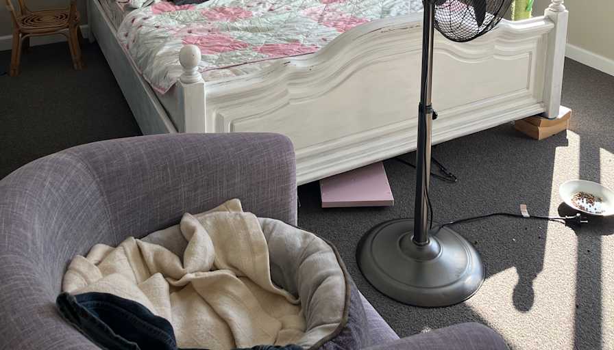 Amber's room