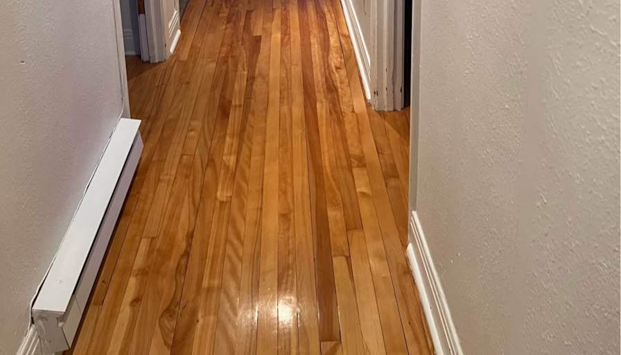 Yasmine El-Diwany's room