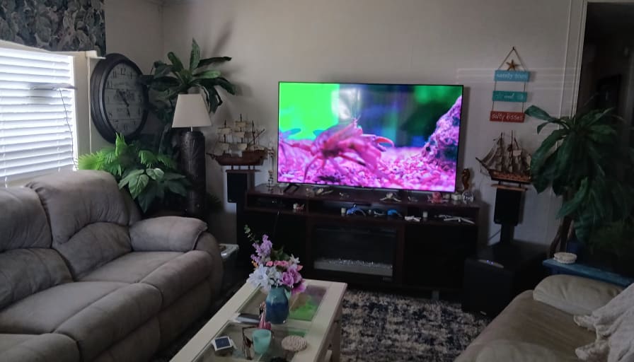Tamera's room