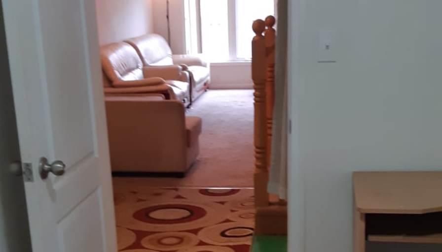 Shaheen's room