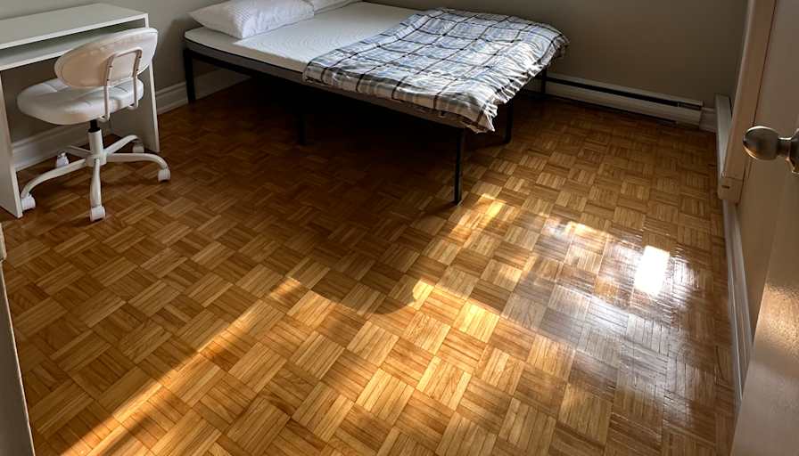 Niloo's room