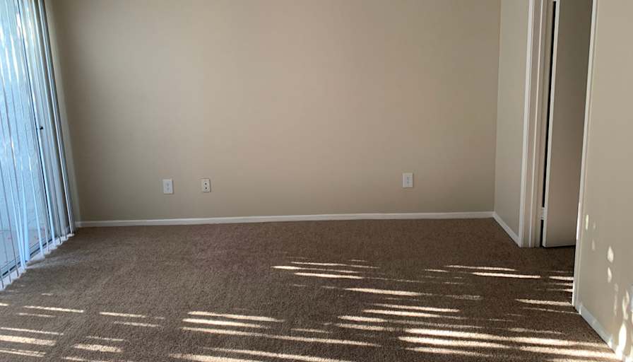 Finosh's room