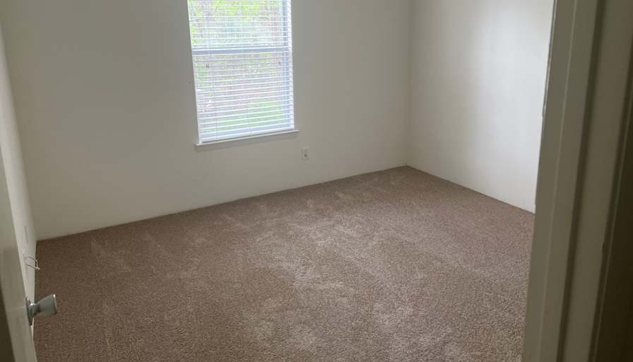 Cecilia's room