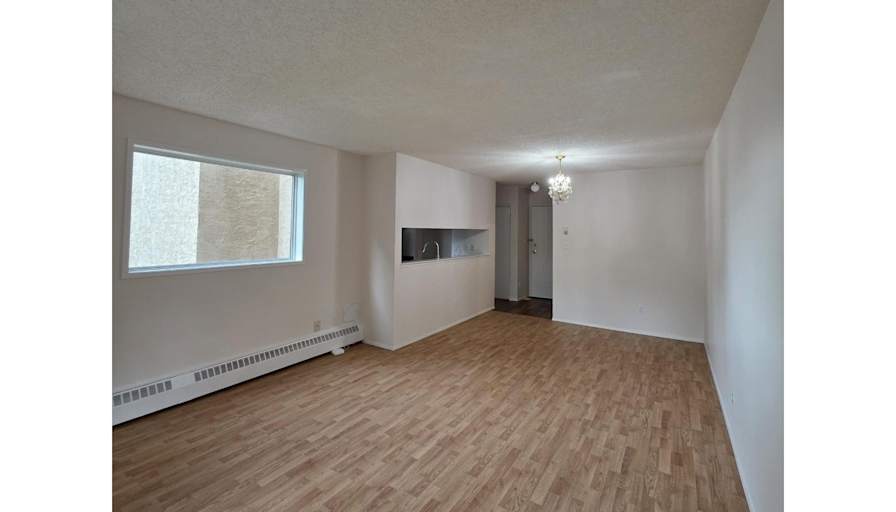 Todd's room