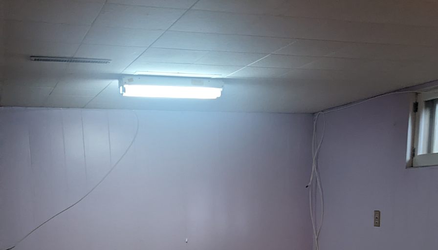 Rohan Biala's room