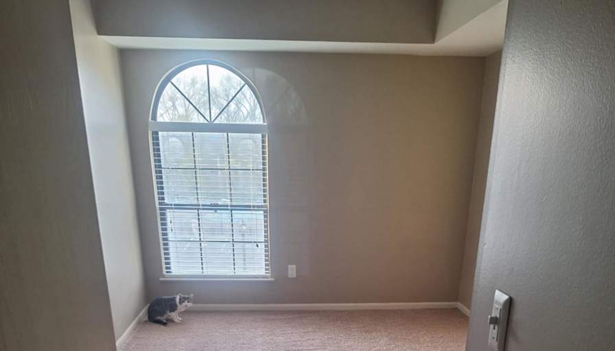 Sarah K Scarberry's room