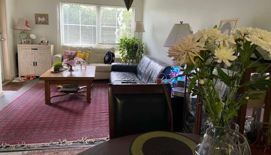 Mira's room
