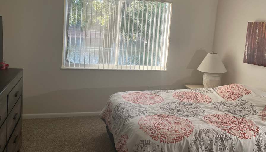 Dave's room