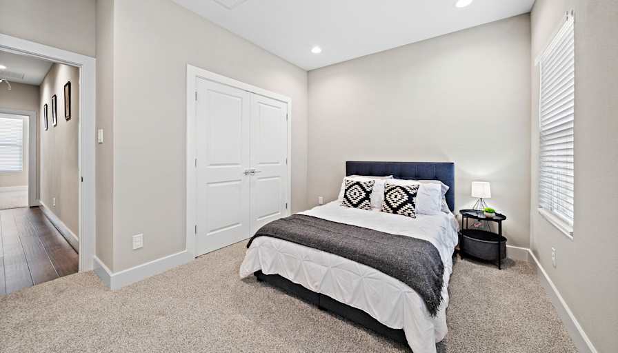 Lily's room
