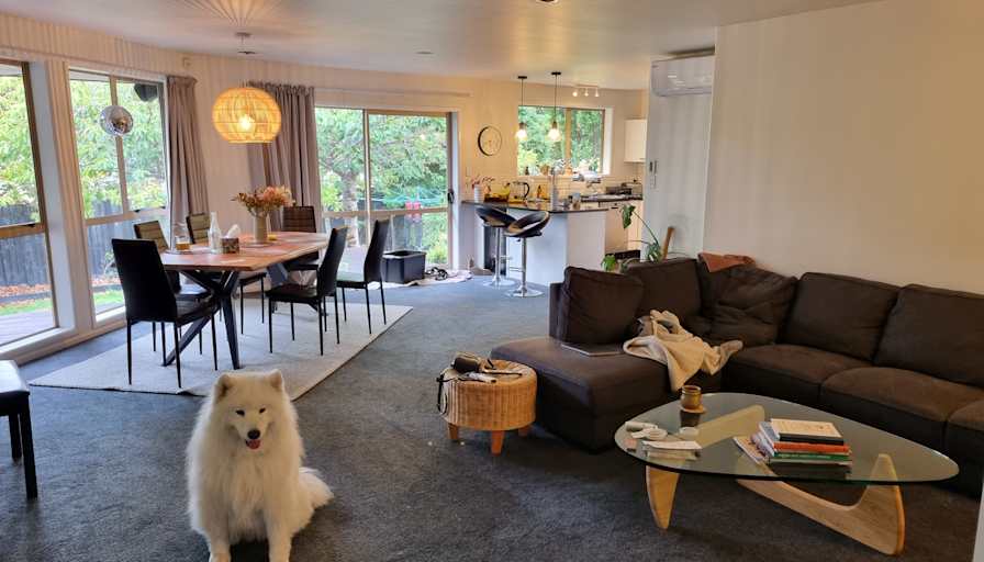 Andrew Kim's room