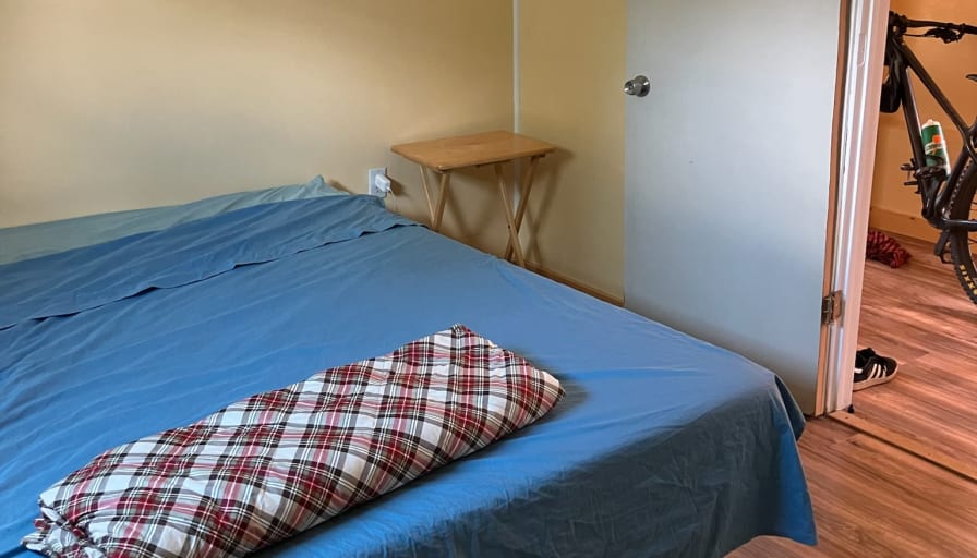 Shane's room