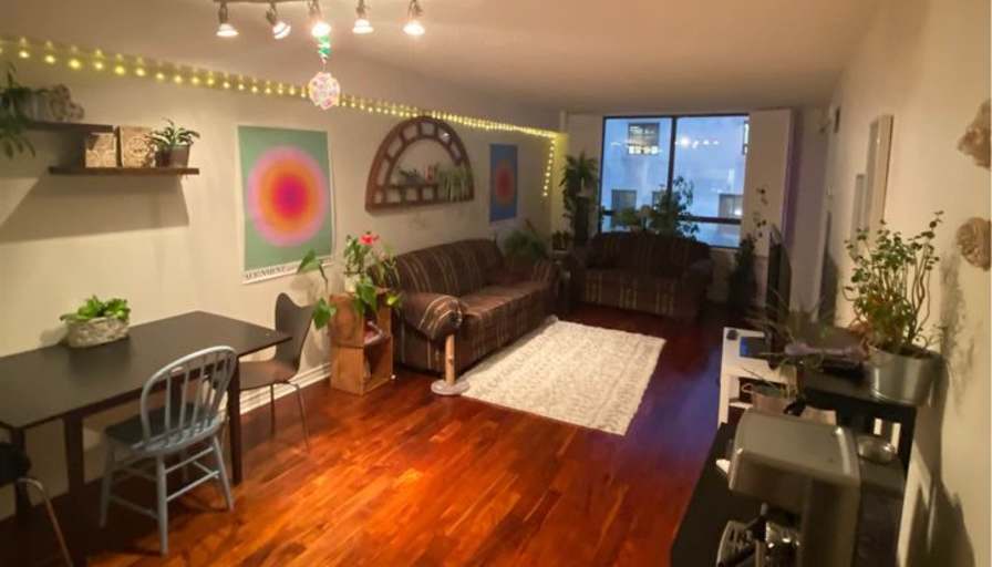 Hanneke de Roo's room