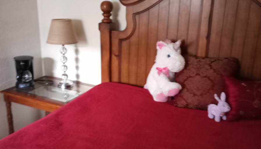 Mary's room