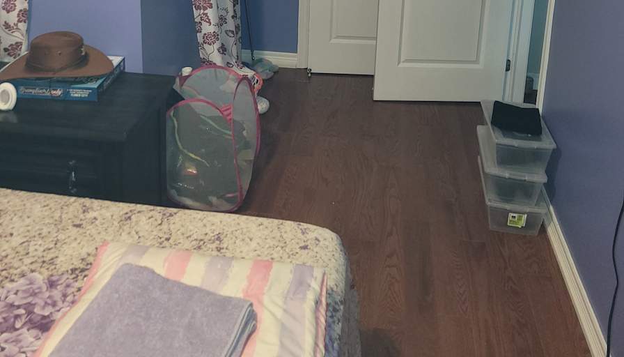 Nicola's room