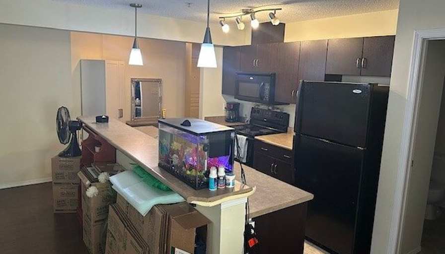 Ryan's room