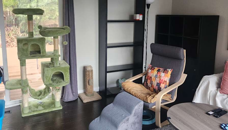 Jeff's room