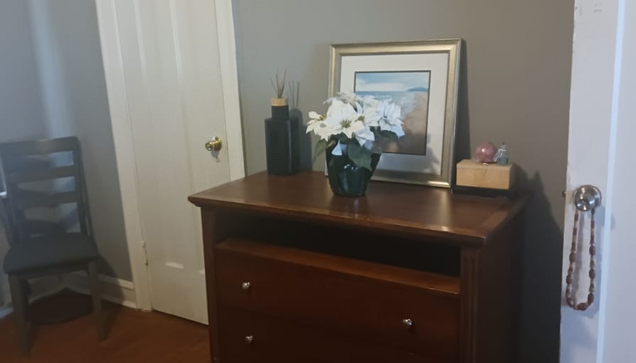 VENUS's room