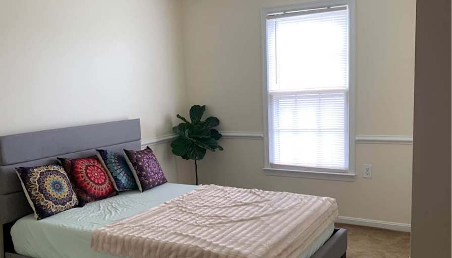 Areeba's room