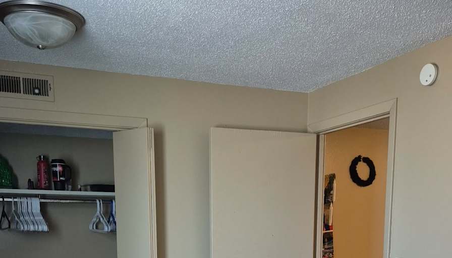 Monte Muggins's room