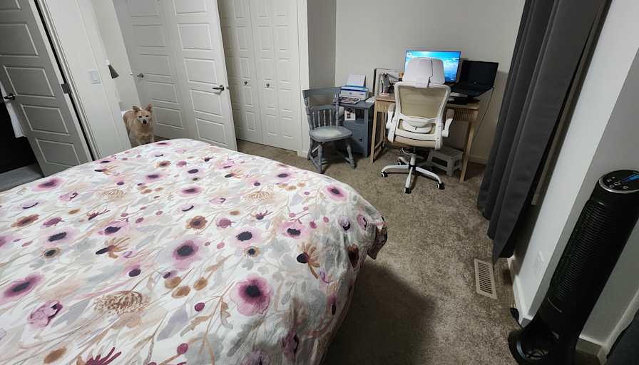Tamara's room