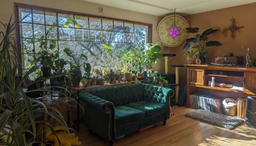 Link's room