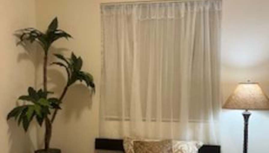 Yolanda's room